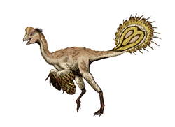 ノミンギアの画像