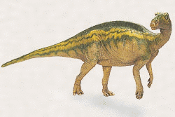 バクトロサウルスの画像