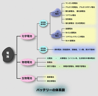 バルスボルディアの画像