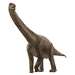 プウィアンゴサウルスの画像