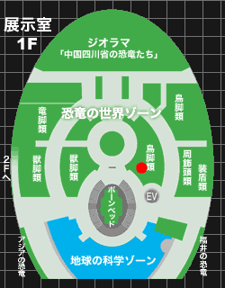 プロバクトロサウルスの画像