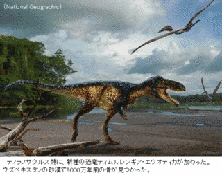 ミフネリュウの画像