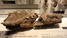 モシリュウの画像