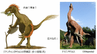 ヤンドゥサウルスの画像