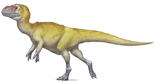 ユウティラヌスの画像