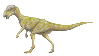 ワンナノサウルスの画像