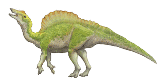 オウラノサウルスの画像