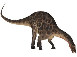 ディクラエオサウルスの画像