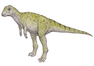ドリオサウルスの画像