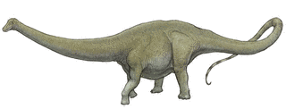 バロサウルスの画像
