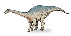 メラノロサウルスの画像