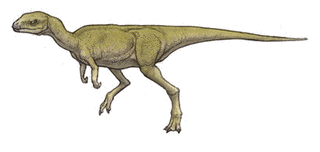 レソトサウルスの画像