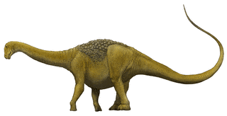 ティタノサウルスの画像
