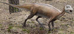 アトラスコプコサウルスの画像