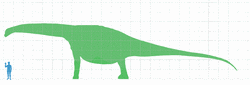 ガルヴェオサウルスの画像