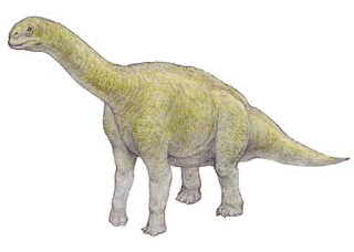 ケティオサウルスの画像