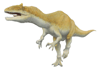 サウロファガナクスの画像