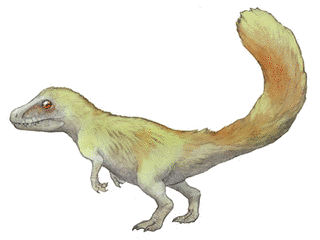 スキウルミムスの画像