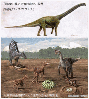 ティタノサウルス類の画像