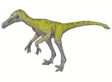 ドロマエオサウルス科の画像