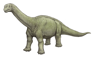 パタゴサウルスの画像