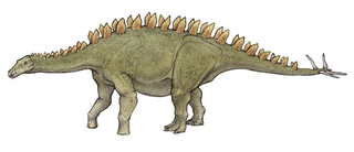 ミラガイアの画像