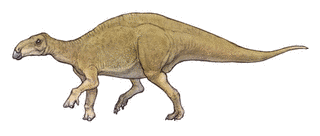 テルマトサウルスの画像