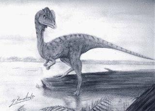 ハルティコサウルスの画像