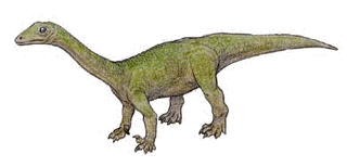 アンキサウルスの画像
