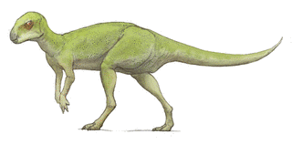ピサノサウルスの画像