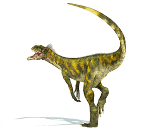 ヘレラサウルスの画像