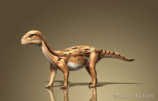 ムスサウルスの画像