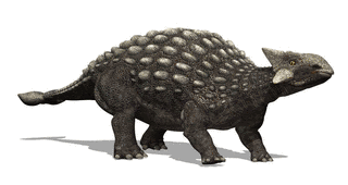 アンキロサウルスの画像