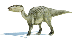 エドモントサウルスの画像