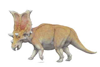 カスモサウルスの画像