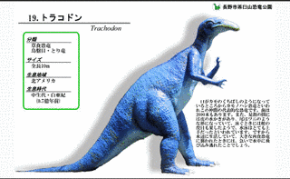 トラコドンの画像