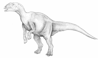ハドロサウルスの画像