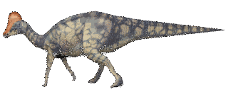 ヒパクロサウルスの画像