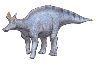 ランベオサウルスの画像