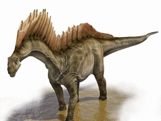 アマルガサウルスの画像