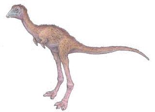 アルヴァレスサウルスの画像