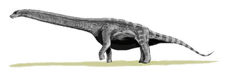 アルゼンチノサウルスの画像
