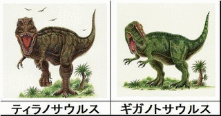 ヴェロキサウルスの画像