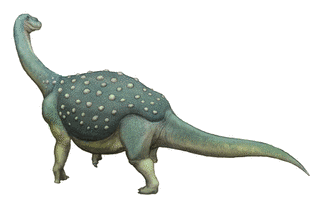 サルタサウルスの画像