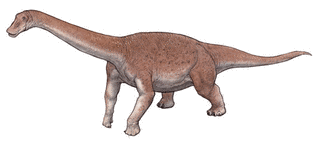 マシャカリサウルスの画像