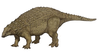 ノドサウルスの画像