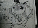 多丘歯目の画像