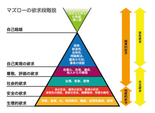 発達心理学の画像