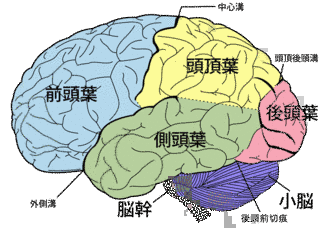 外集団同質性バイアスの画像