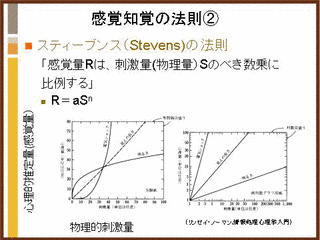スティーヴンスのべき法則の画像
